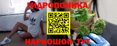 mdpv Дубна