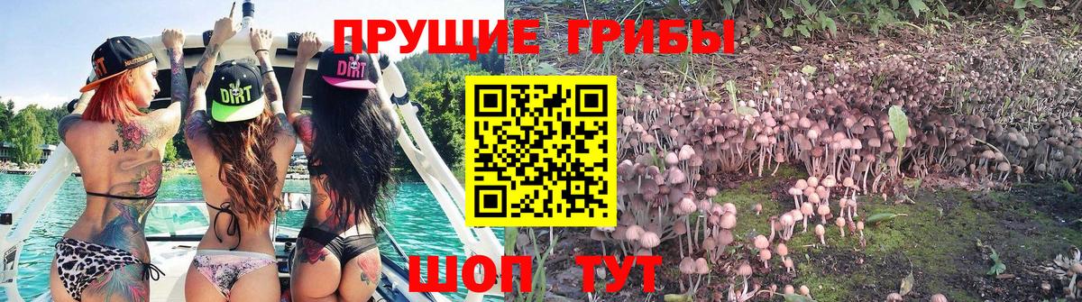 Псилоцибиновые грибы Magic Shrooms  Вход с VPN  Зерноград 
