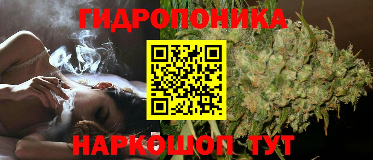 Бошки Шишки планчик Зерноград